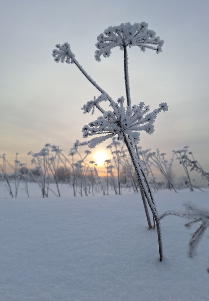 Photo #10366882