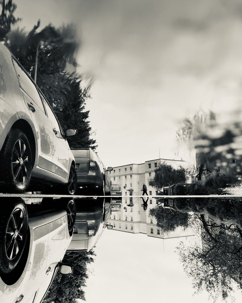 Фотография автора Natalija Kokalevská