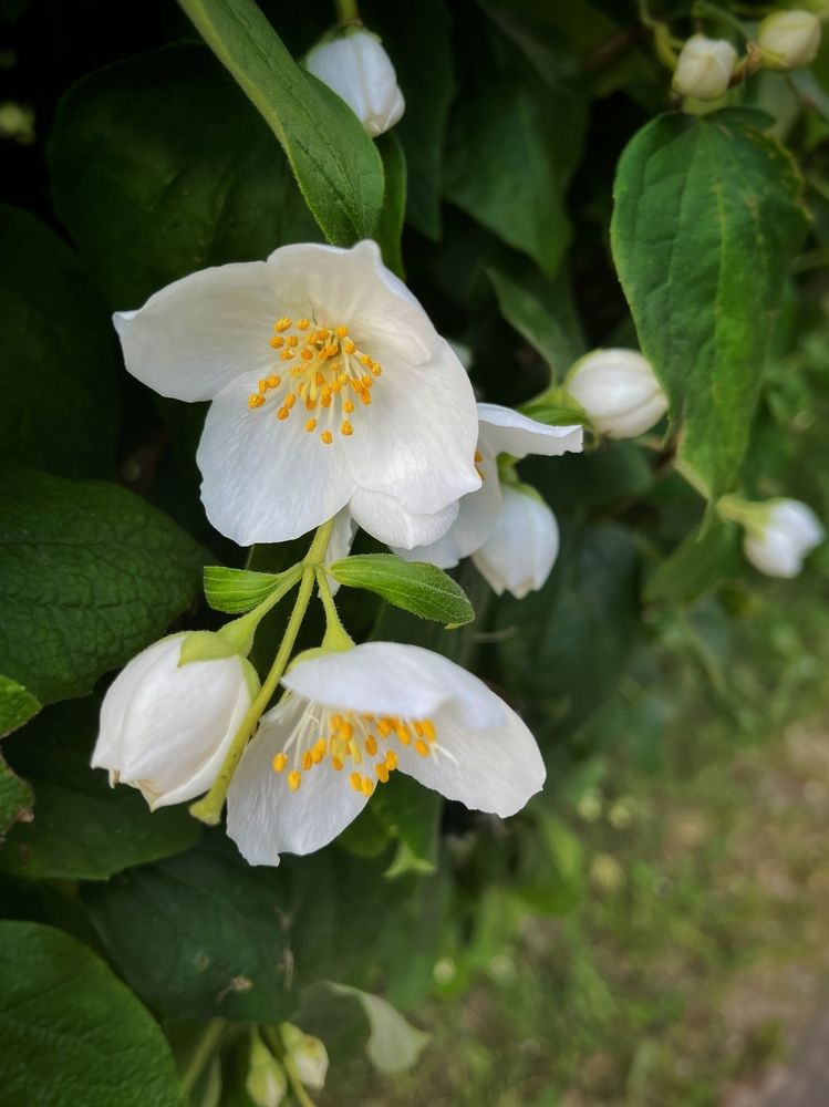 Photograph by Бравичева Анастасия