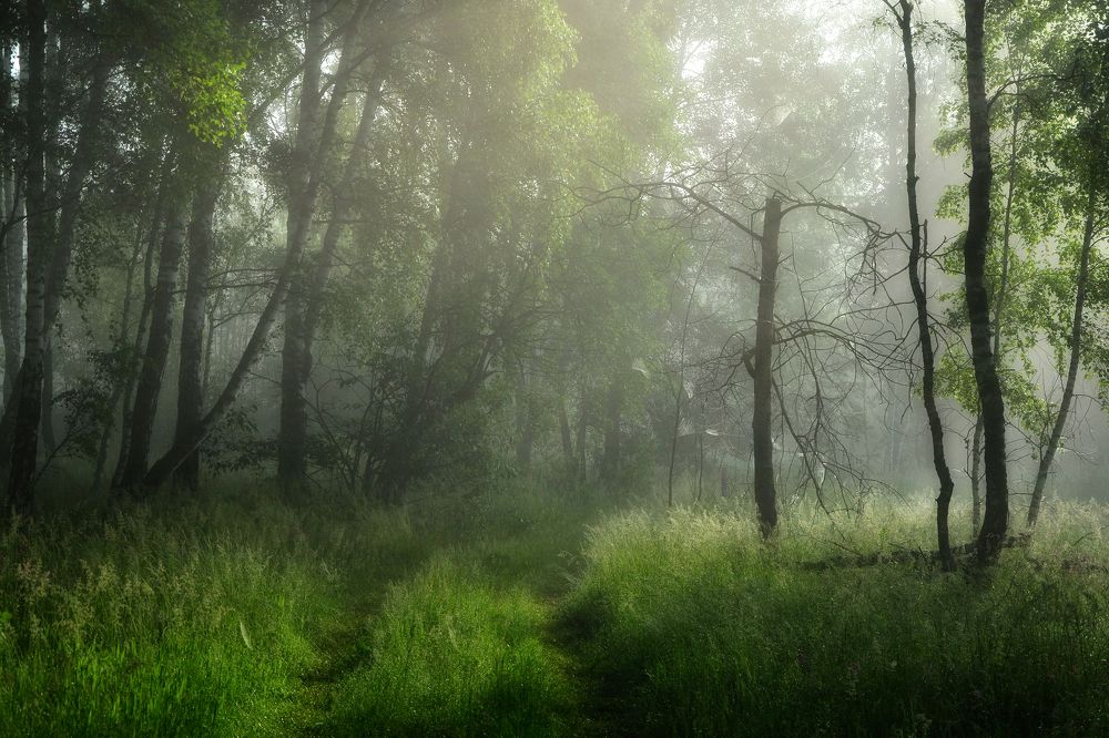 Photograph by Юлия Абрамова