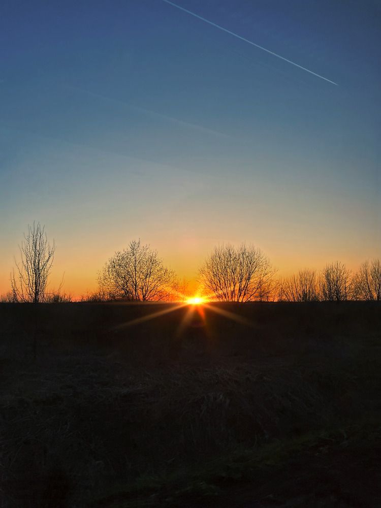 Photograph by Бравичева Анастасия