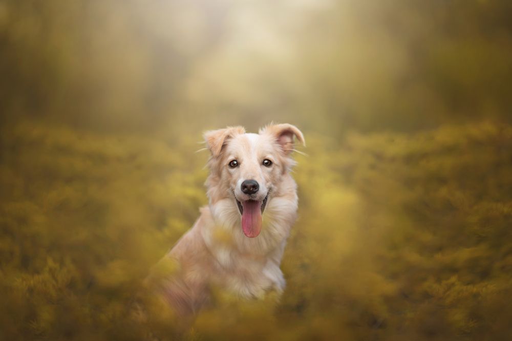 Фотография автора Ana Sánchez