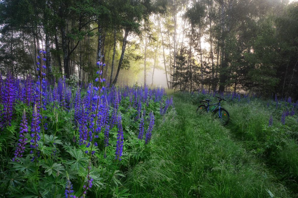 Photograph by Юлия Абрамова