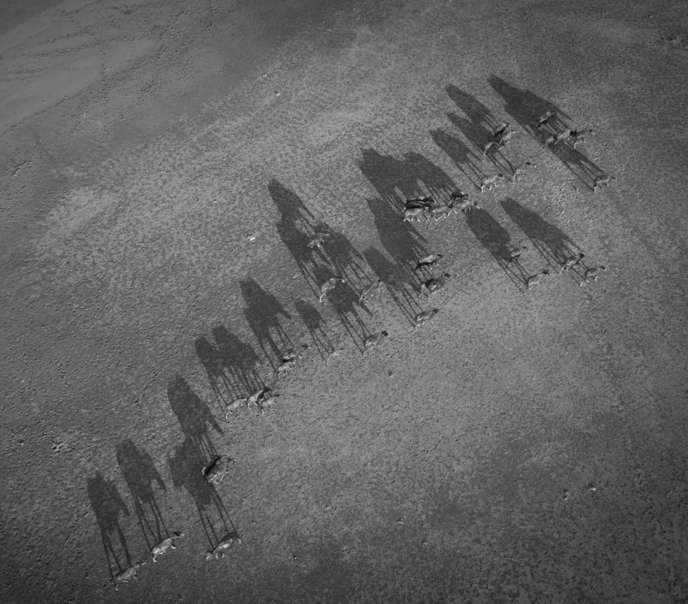 Photograph by Nguyen