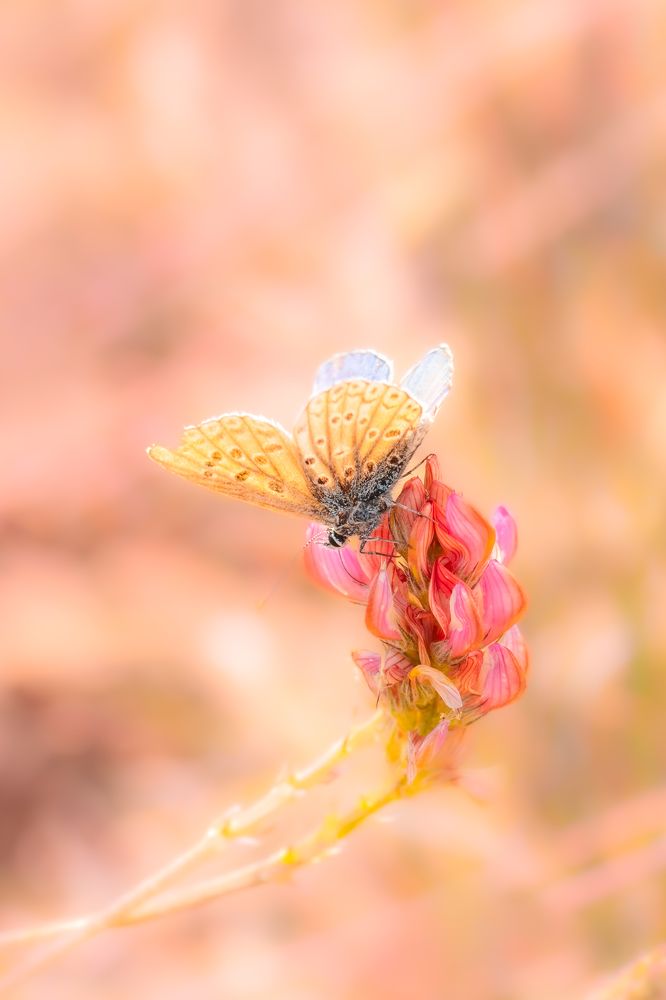 Photograph by Aída Torres