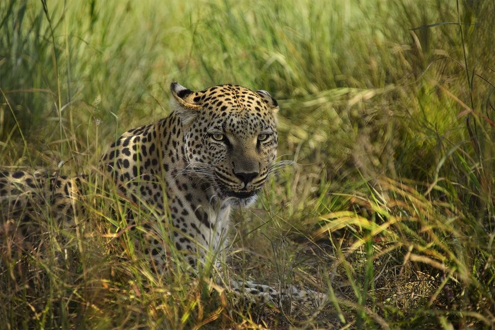 Photograph by Tanja Wolfaardt