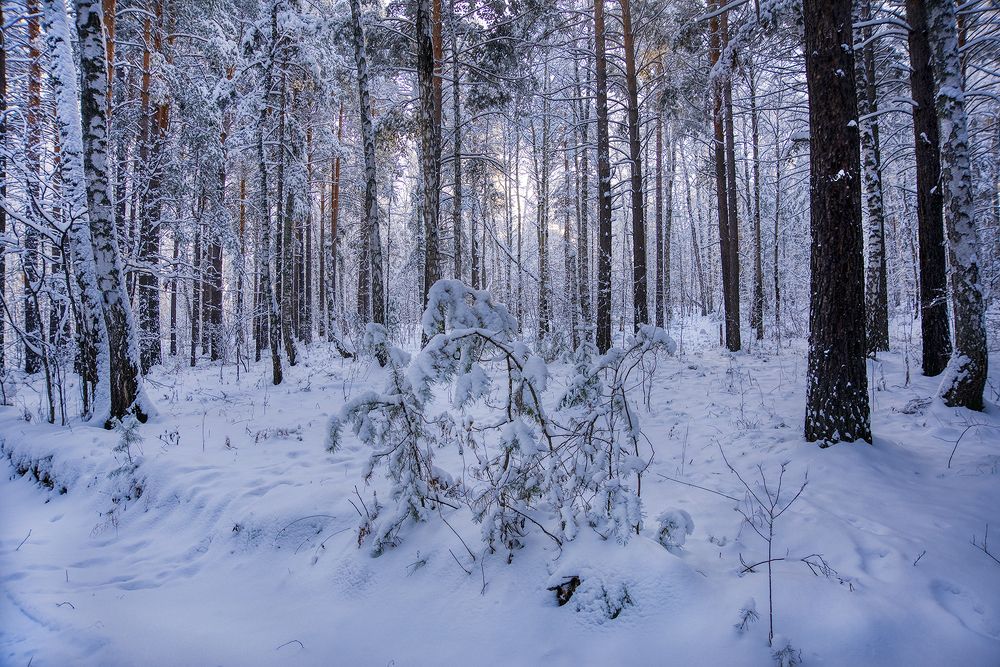 Photograph by Наталья Дроздова