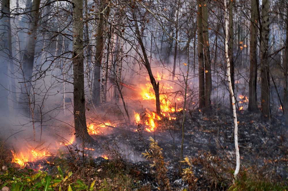 Photograph by Андрей Колеватов