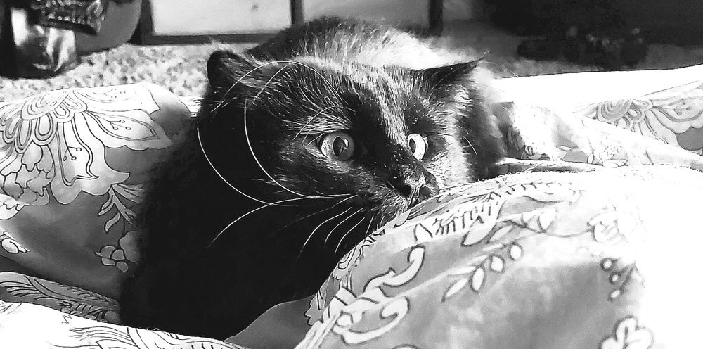 Фотография автора Можаев Сергей