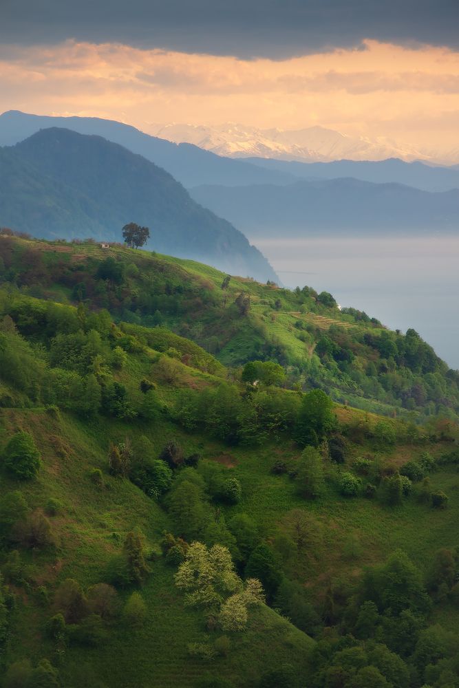 Photograph by Дмитрий Воронцов