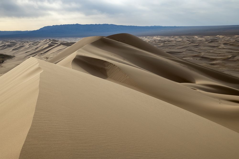 "Золото" Гоби.