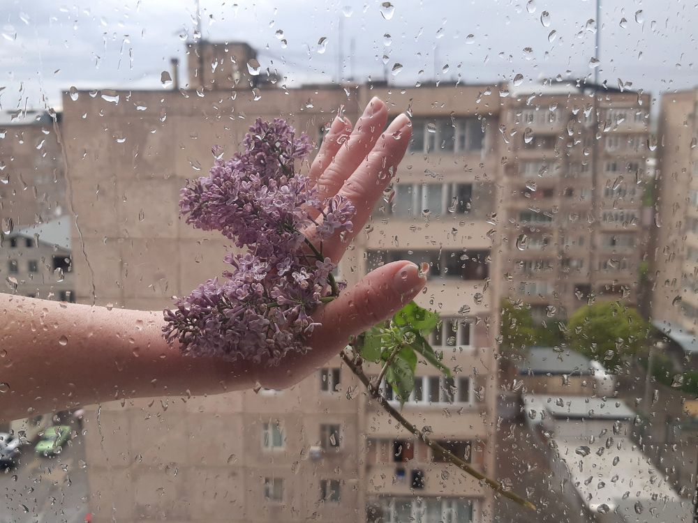 Photograph by Марина Рафаелян