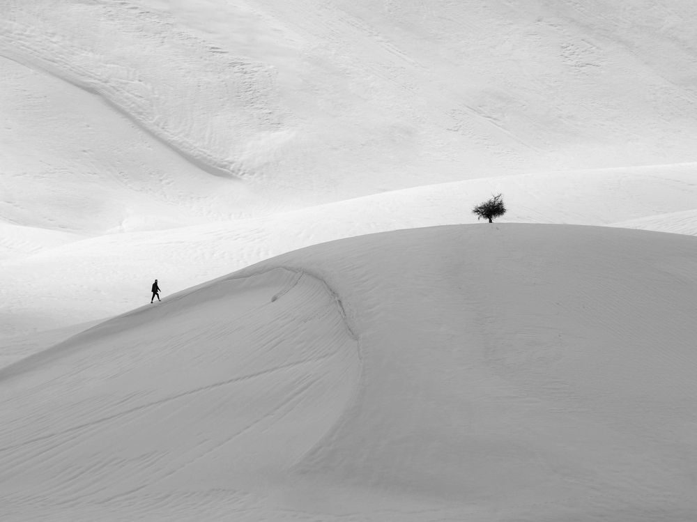 Фотография автора mohammad Alipour