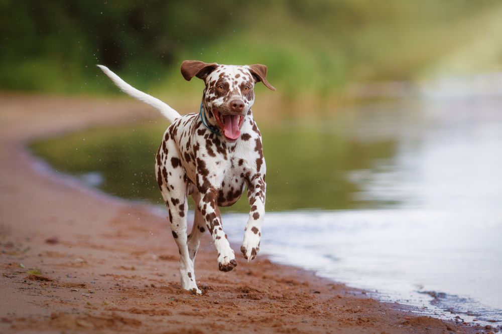 Photograph by Яна Нарбутович