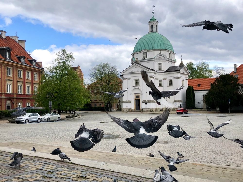 Photograph by Halina Mitsevich