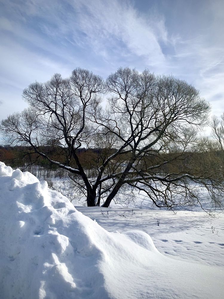 Photograph by Галина Иванова