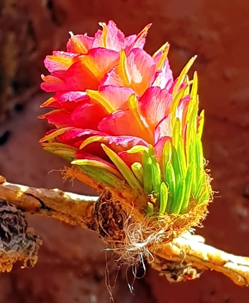 Photograph by Михаил Свиденцов