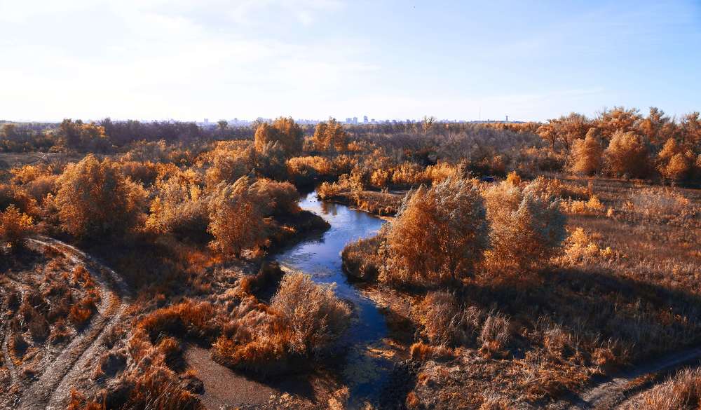 Photograph by Павел Сторчилов