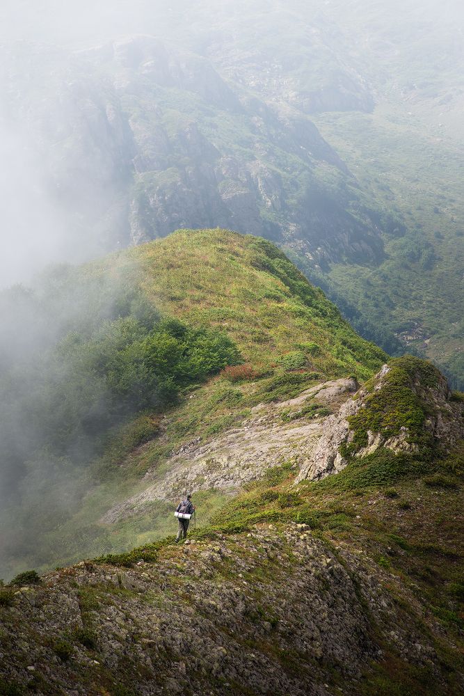 Photograph by Дмитрий Воронцов