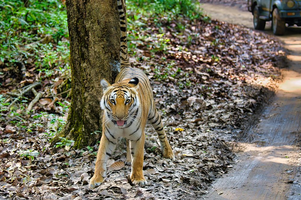 Photograph by Snehanand Sinha