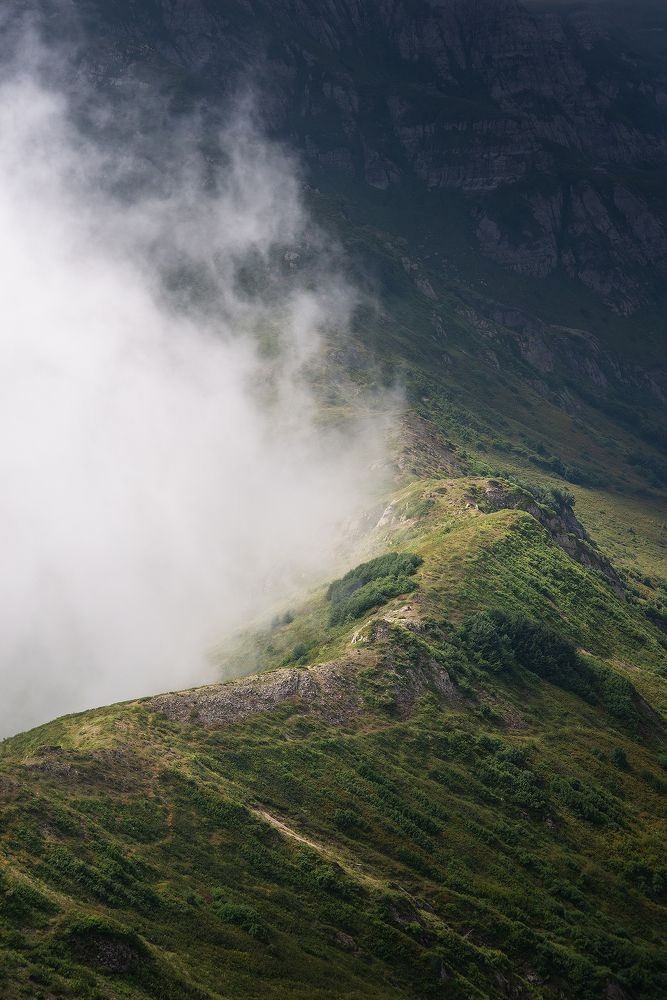 Photograph by Дмитрий Воронцов