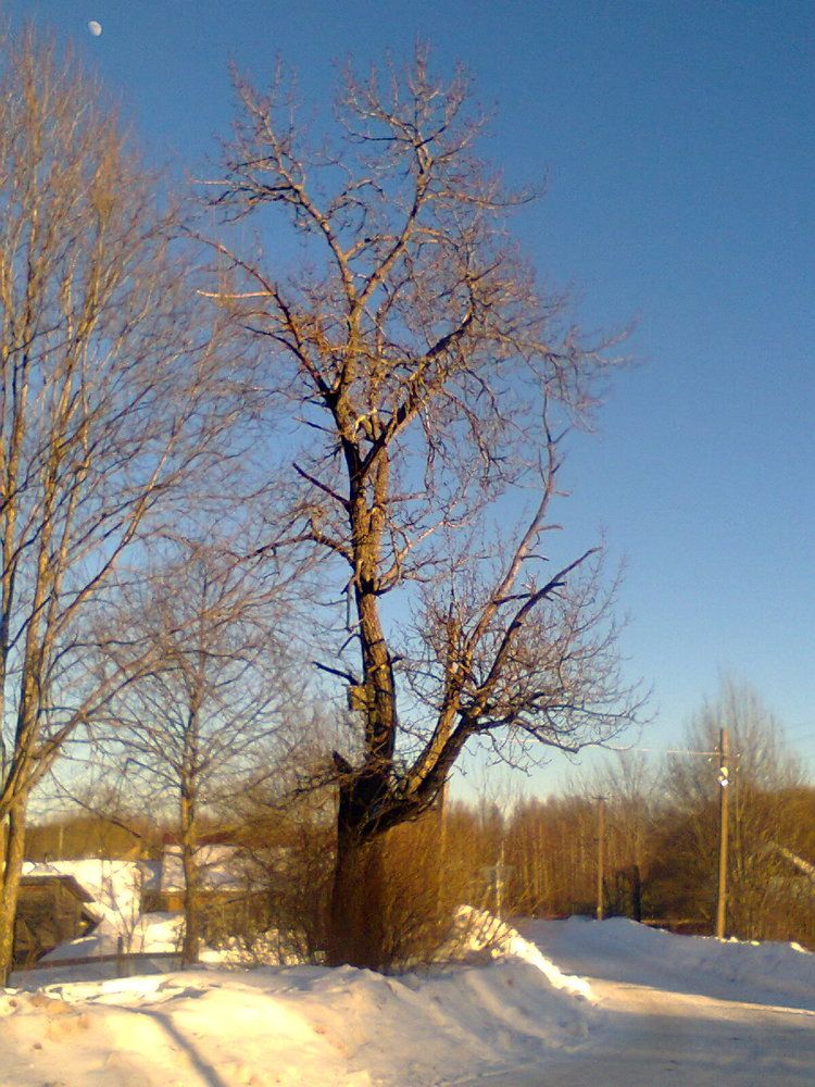 Фотография автора Михаил Смирнов