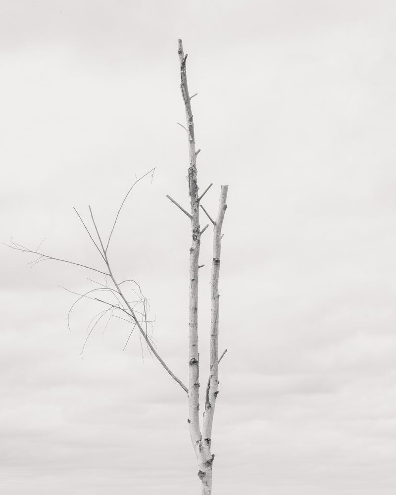 Photograph by Татьяна Рейнелл