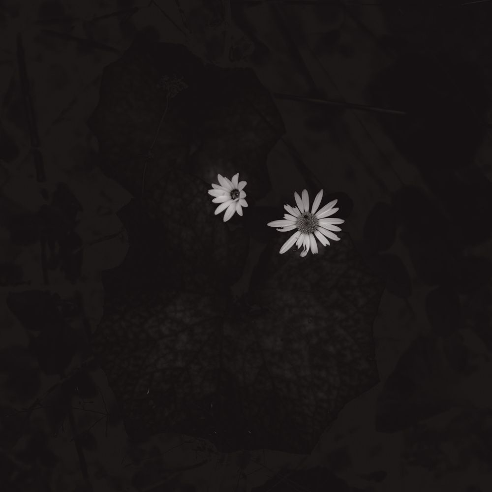 Photograph by Татьяна Рейнелл