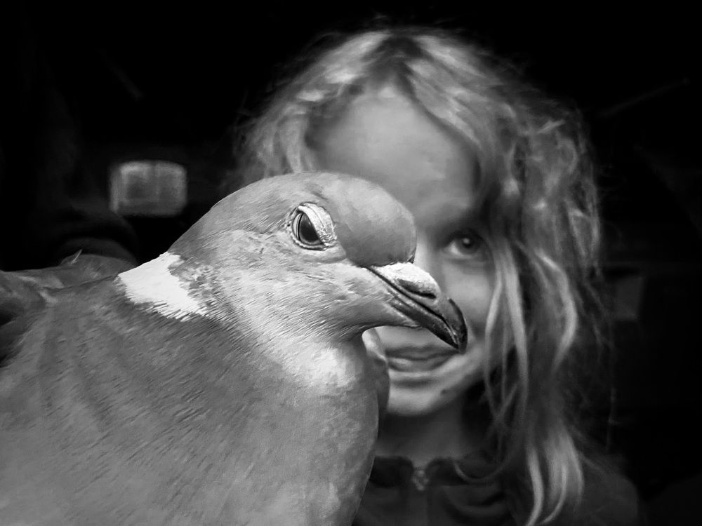 Photograph by Юлия Зырина