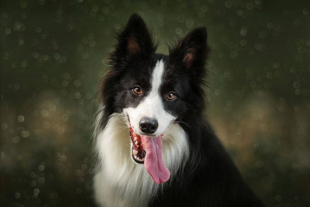 Photograph by 温琪耀