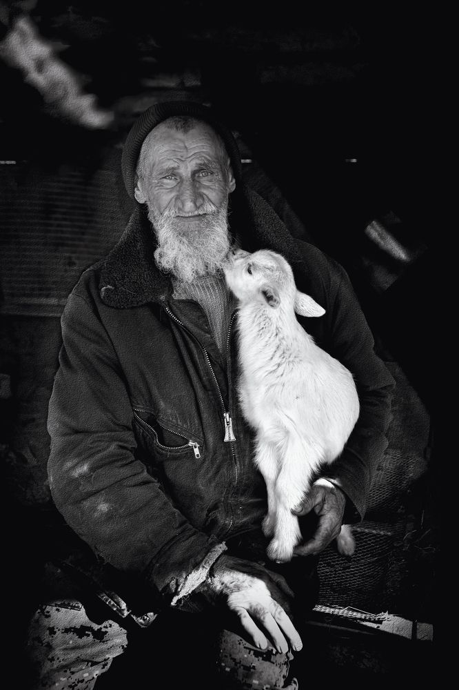 Фотография автора Светлана Воротынцева