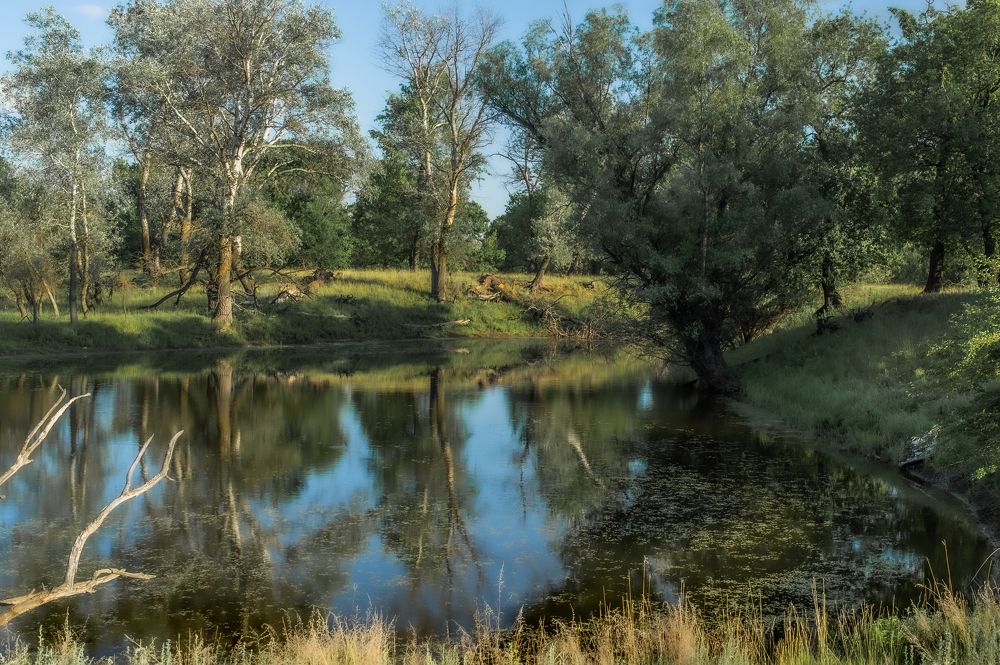 Photograph by Васильев Роман