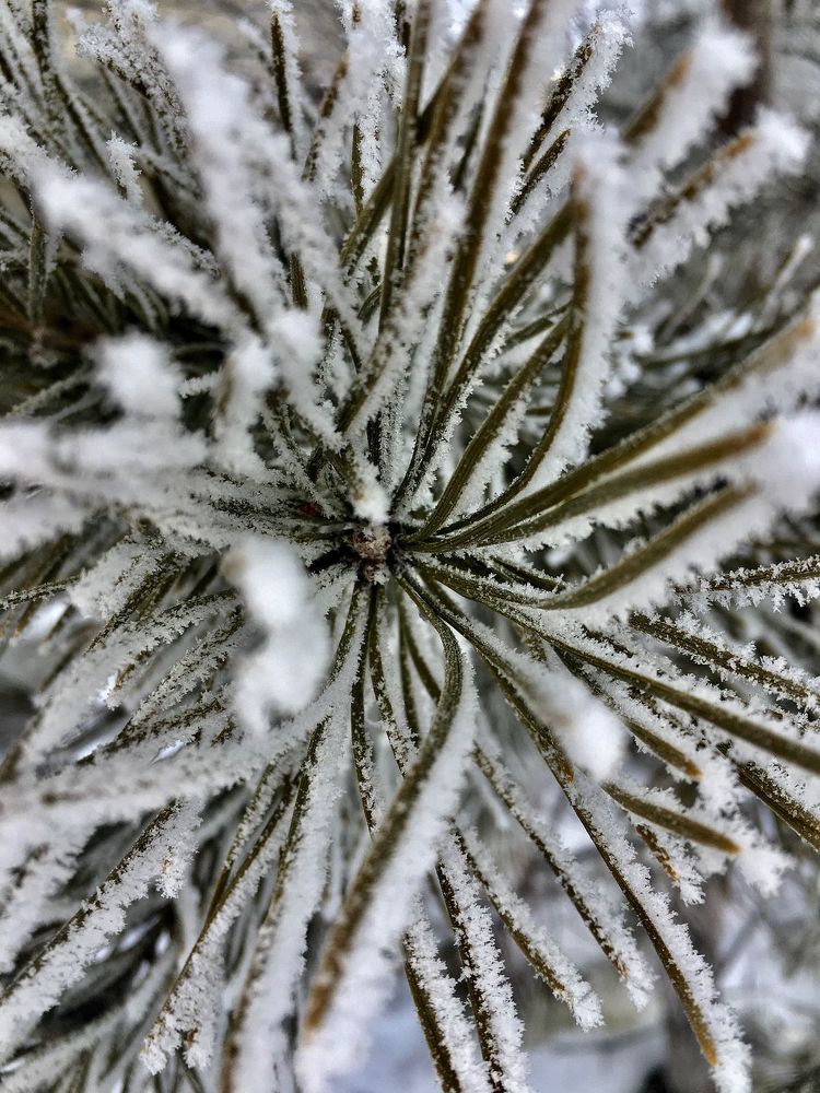 Photograph by Кристина Лацвеева