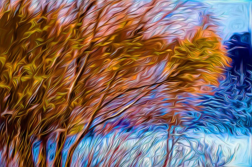 Первый снег