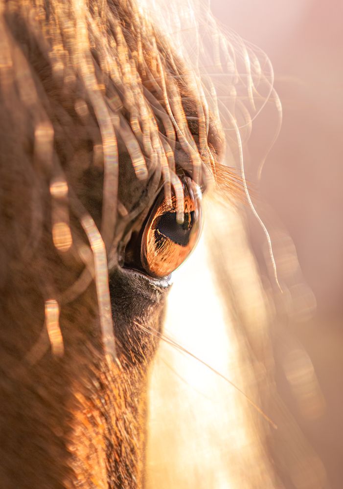 Photograph by Sina Möller