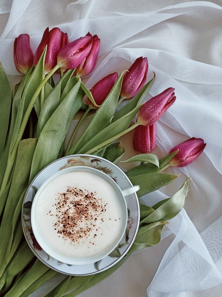 Фотография автора Татьяна Шахова