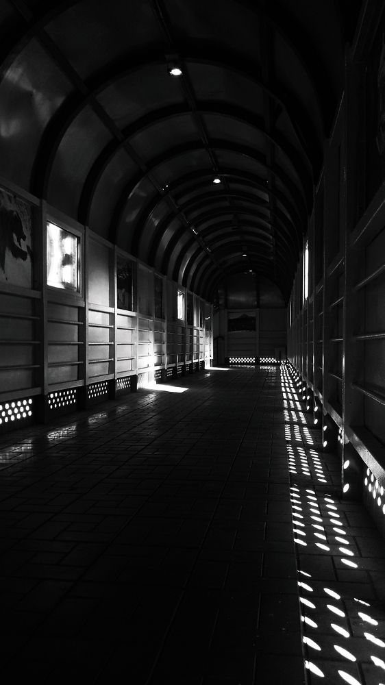 Photograph by Ксения Левикина