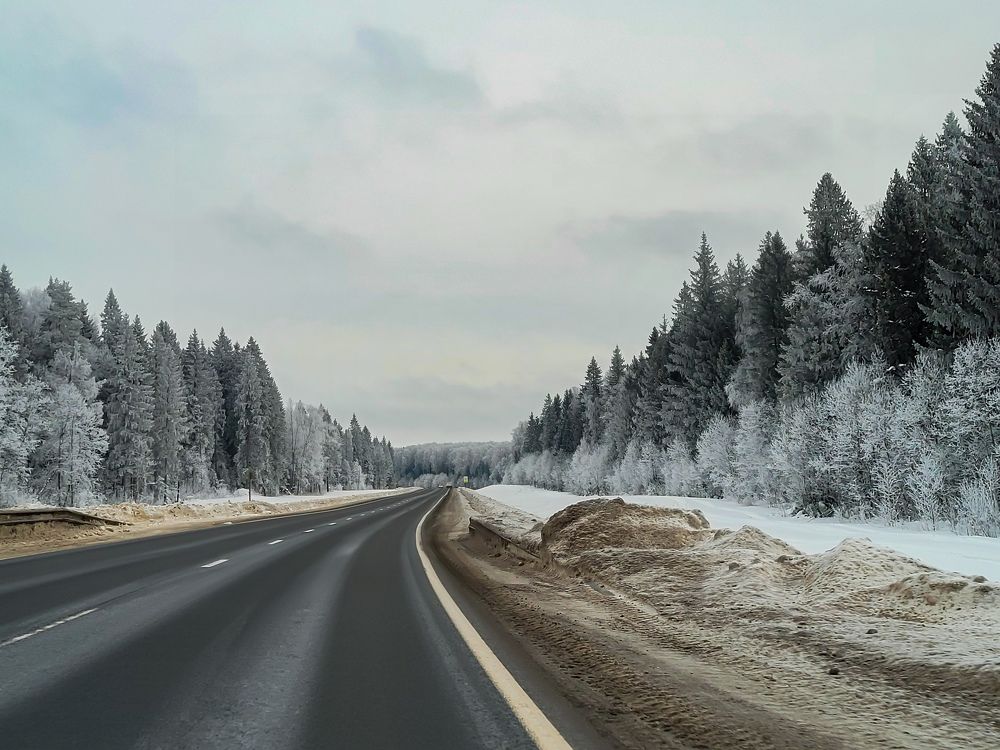 Дорога в снежный лес