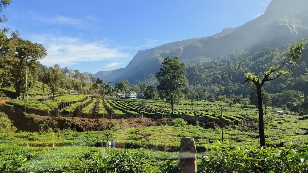 Photograph by Diwakaran D