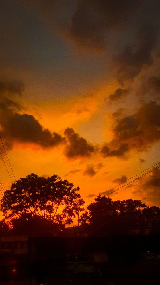 Photograph by Divyansh Dharmadhikari