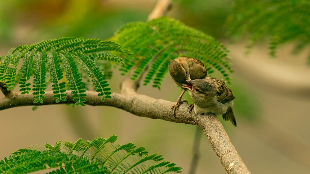 Photograph by Farrukh Sidddiqi