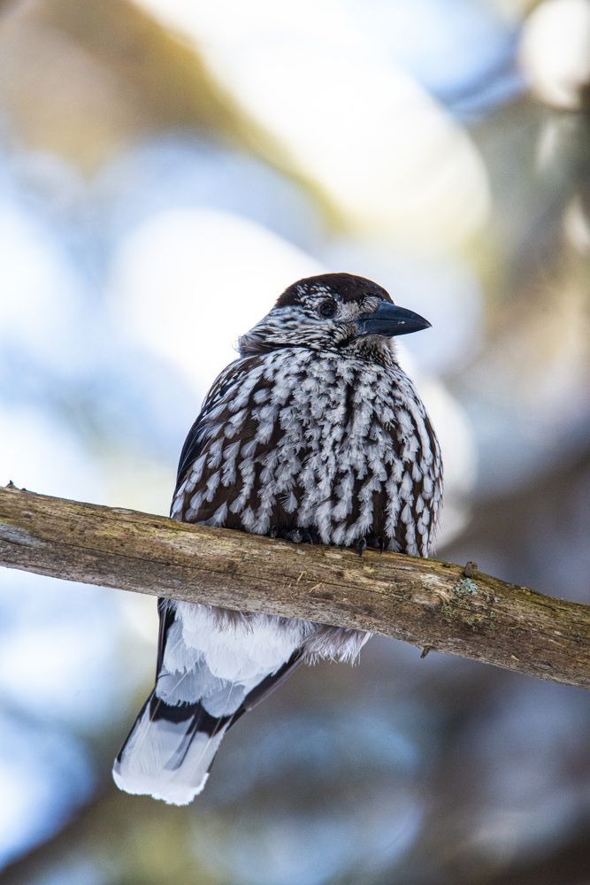 Photograph by Дмитрий Юдин