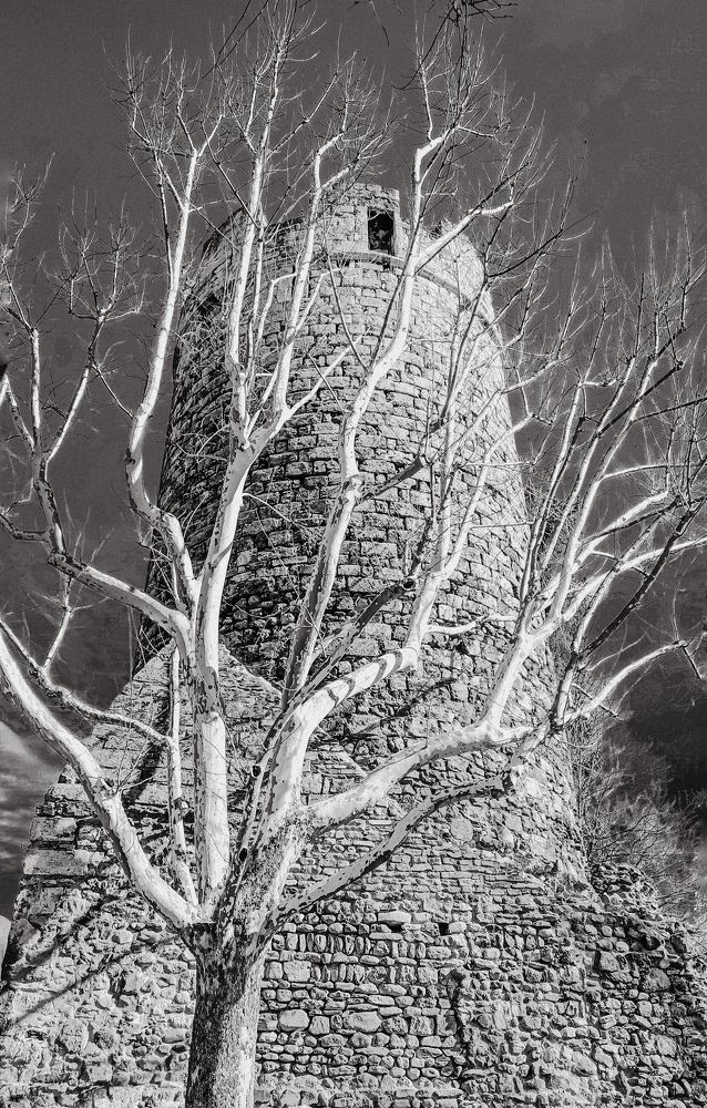 Фотография автора Elvira Minigulova