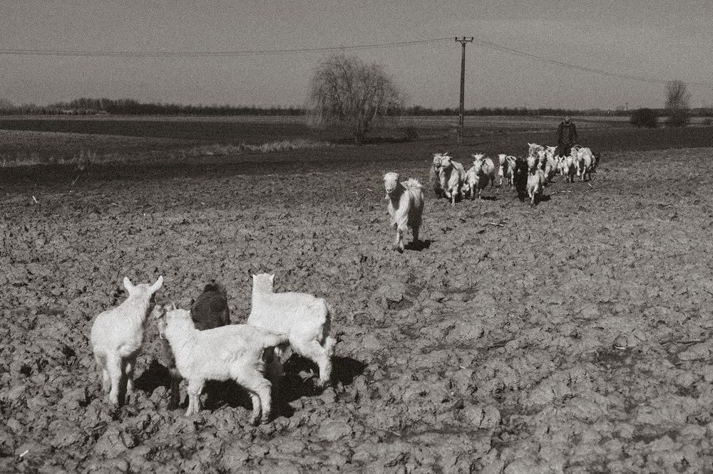 Photograph by Adriana Anca