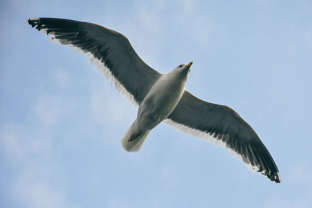 Photograph by Алексей Кальченко