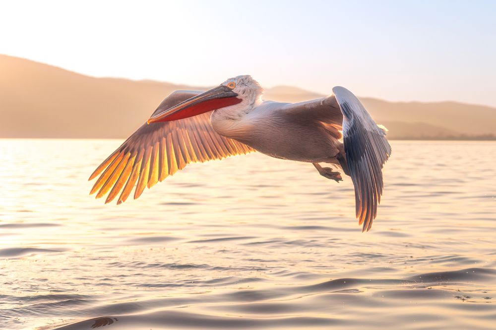 Photograph by Lyubomir Momchilov