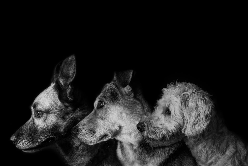 Photograph by Adriana Anca