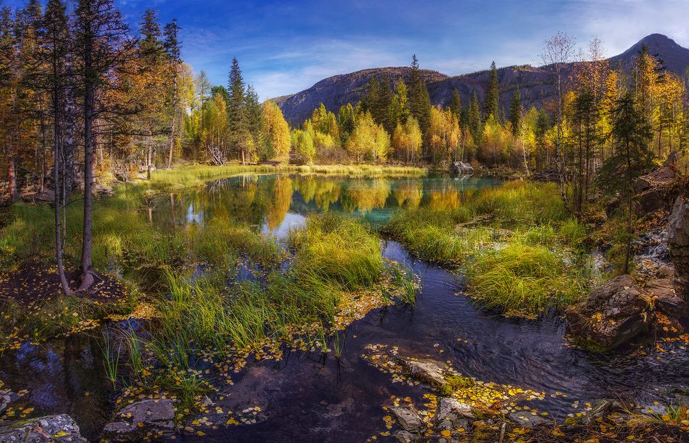 Photograph by Чичкин Валерий