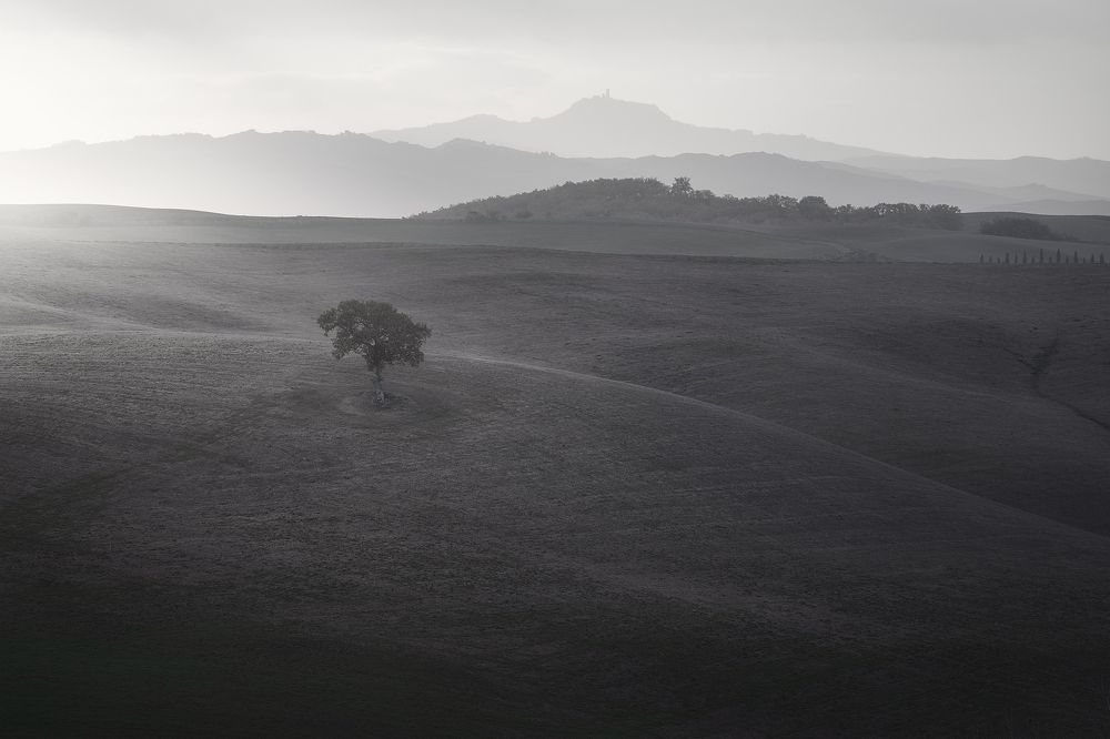 Photograph by Maddalena Elisabetta Veronesi