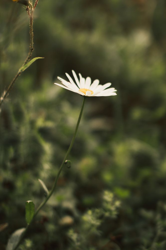 Photograph by Заглубоцкая Ольга